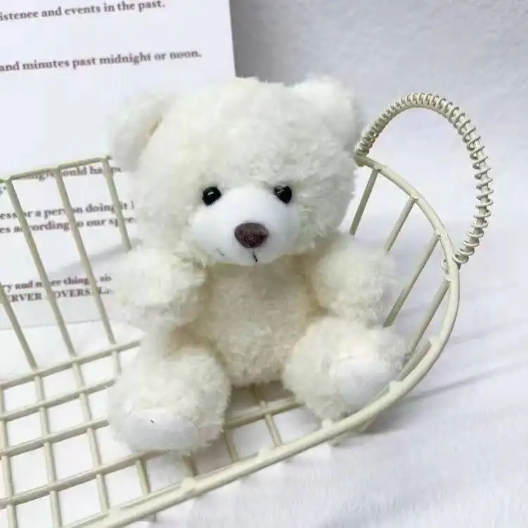 Camera Sweater Bear 05